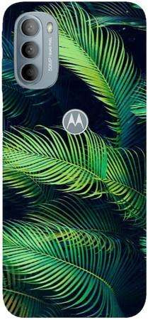Foto Case Motorola Moto G31 / Moto G41 carne paprotki