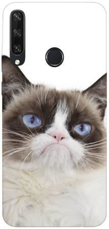 Foto Case Huawei Y6p grumpy cat