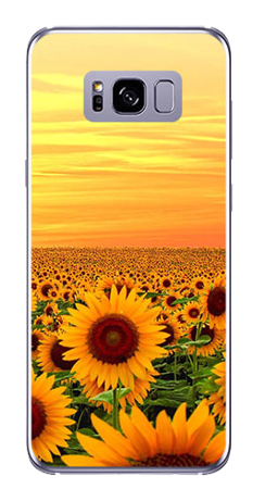 Foto Case Samsung GALAXY S8 słoneczniki