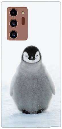 Foto Case Samsung Galaxy Note 20 Ultra pingwinek