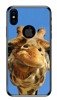 Foto Case Apple Iphone X śmieszka żyrafa