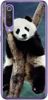 Foto Case Xiaomi Mi9 SE panda na drzewie